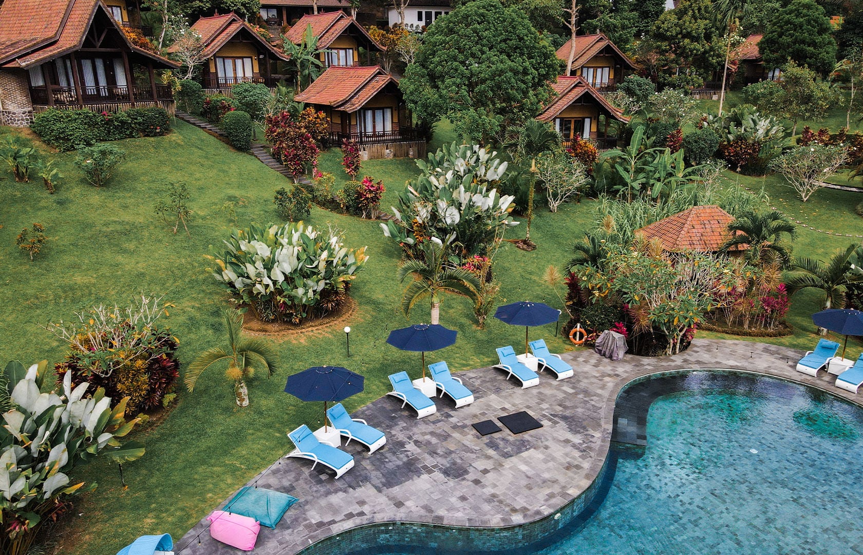 Bali Palmen