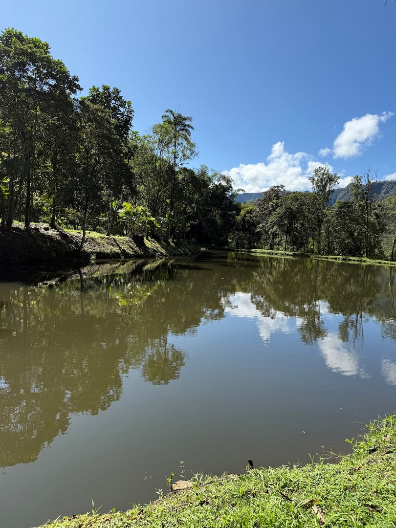 Hayulima: Spirituele en plantmedicijn-retreats