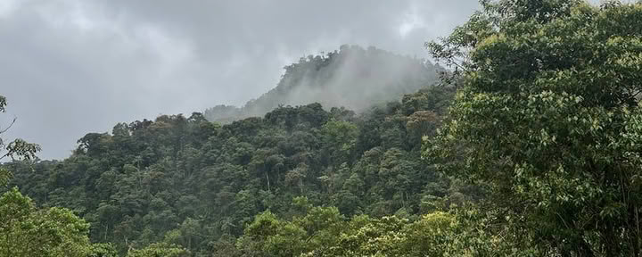 Hayulima: Spirituele en plantmedicijn-retreats
