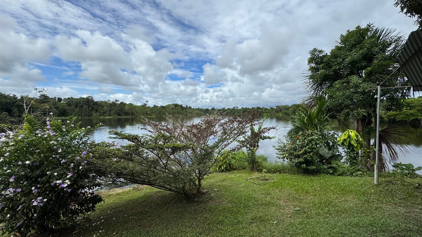 Ayahuascastichting