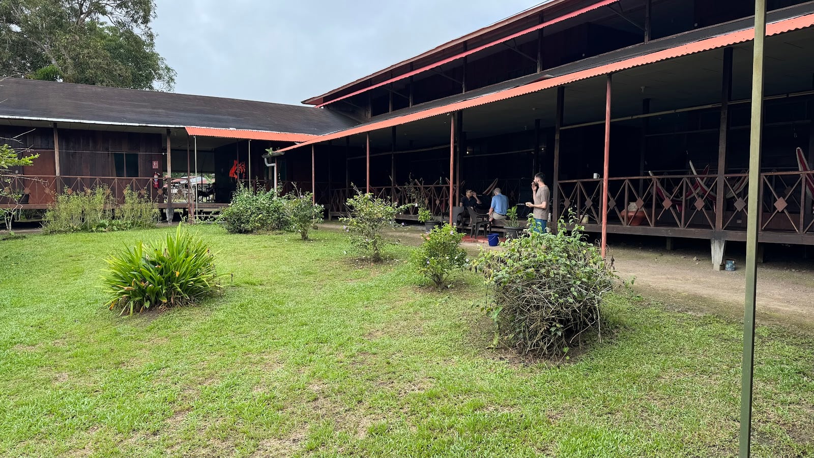 Ayahuascastichting