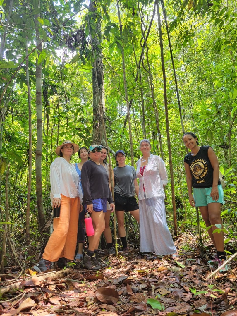 Ayahuascastichting