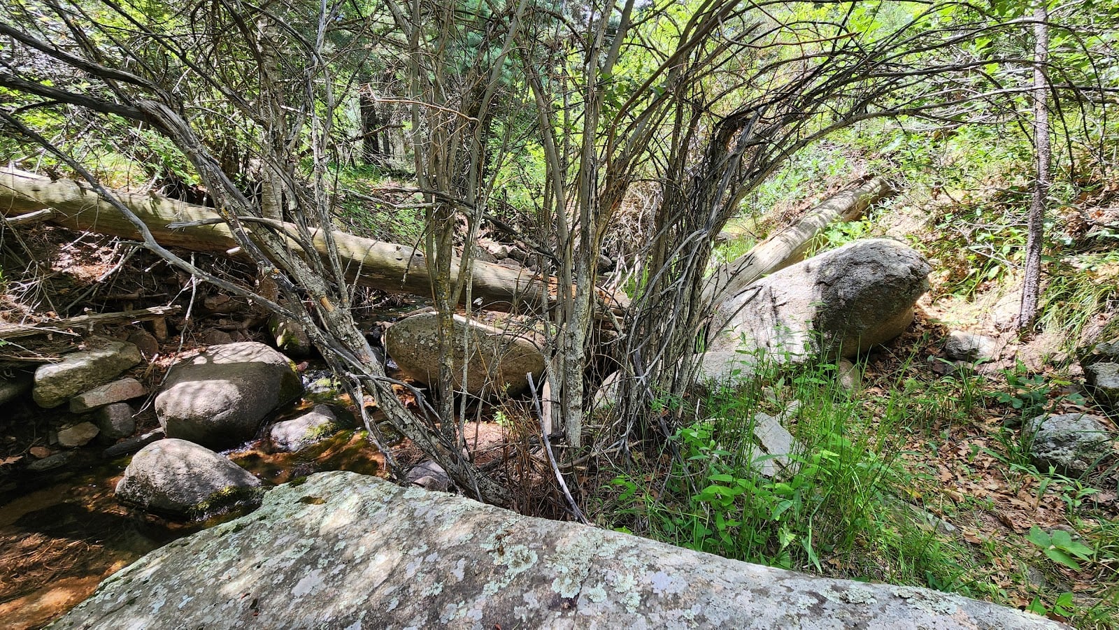 Natuur- en Wilde Dieren Ontdekkingscentrum - Bergcampus