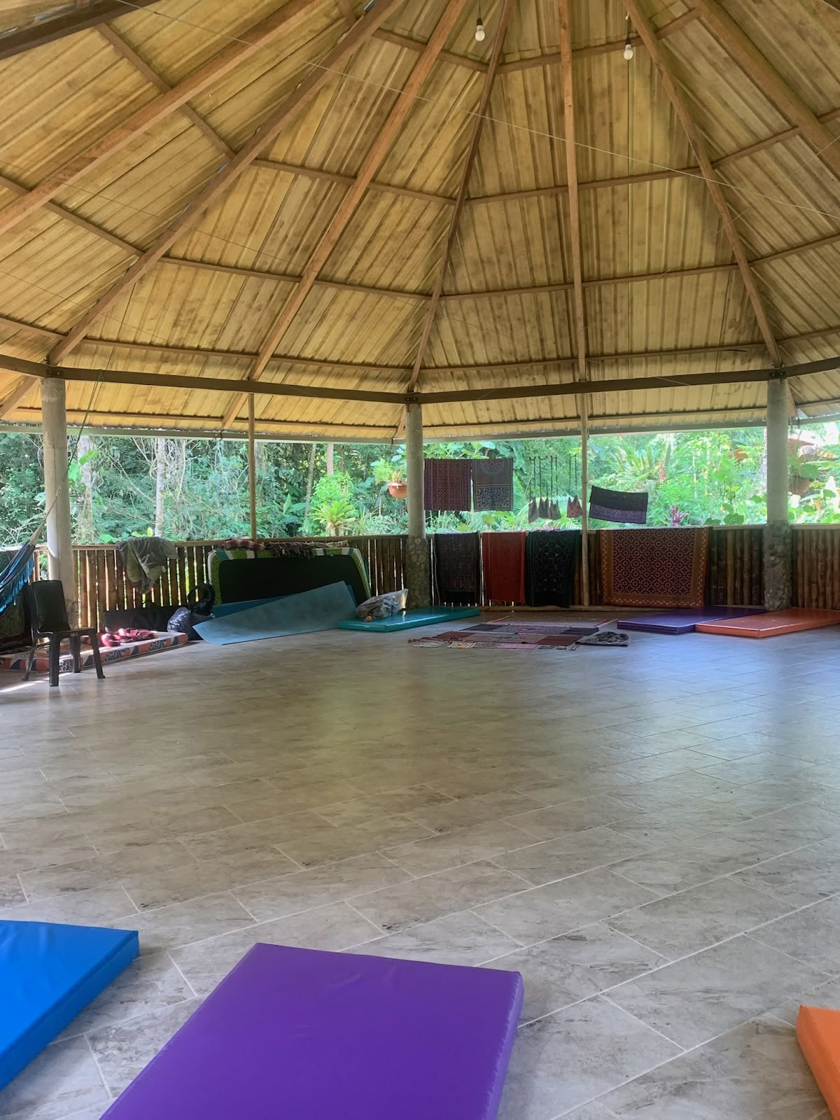 Veer Kroon Ayahuasca Ecuador