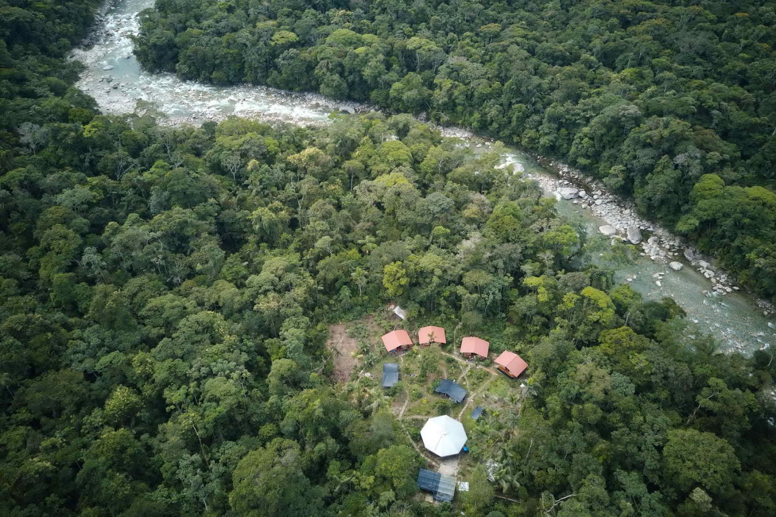 Veer Kroon Ayahuasca Ecuador