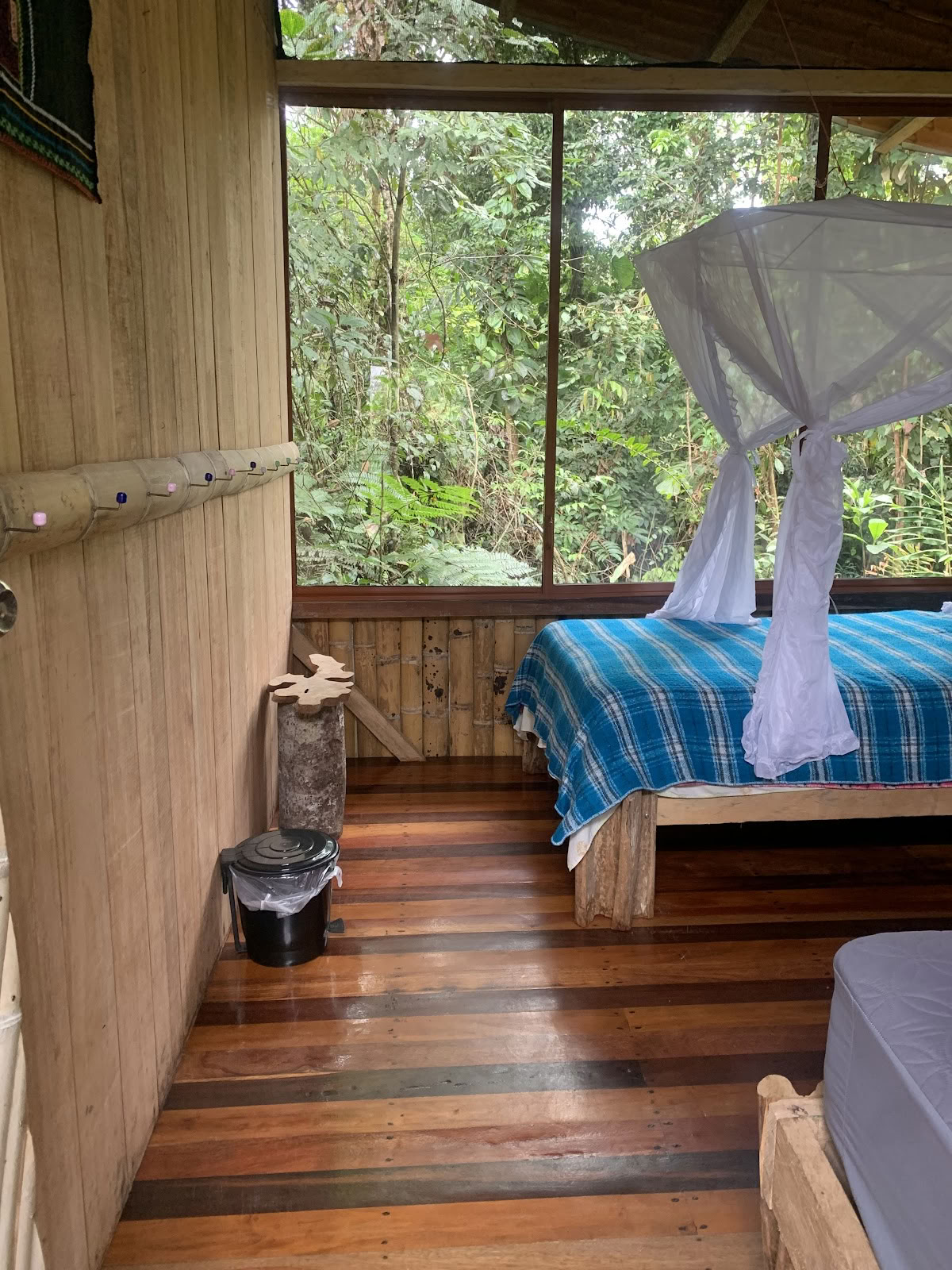 Veer Kroon Ayahuasca Ecuador