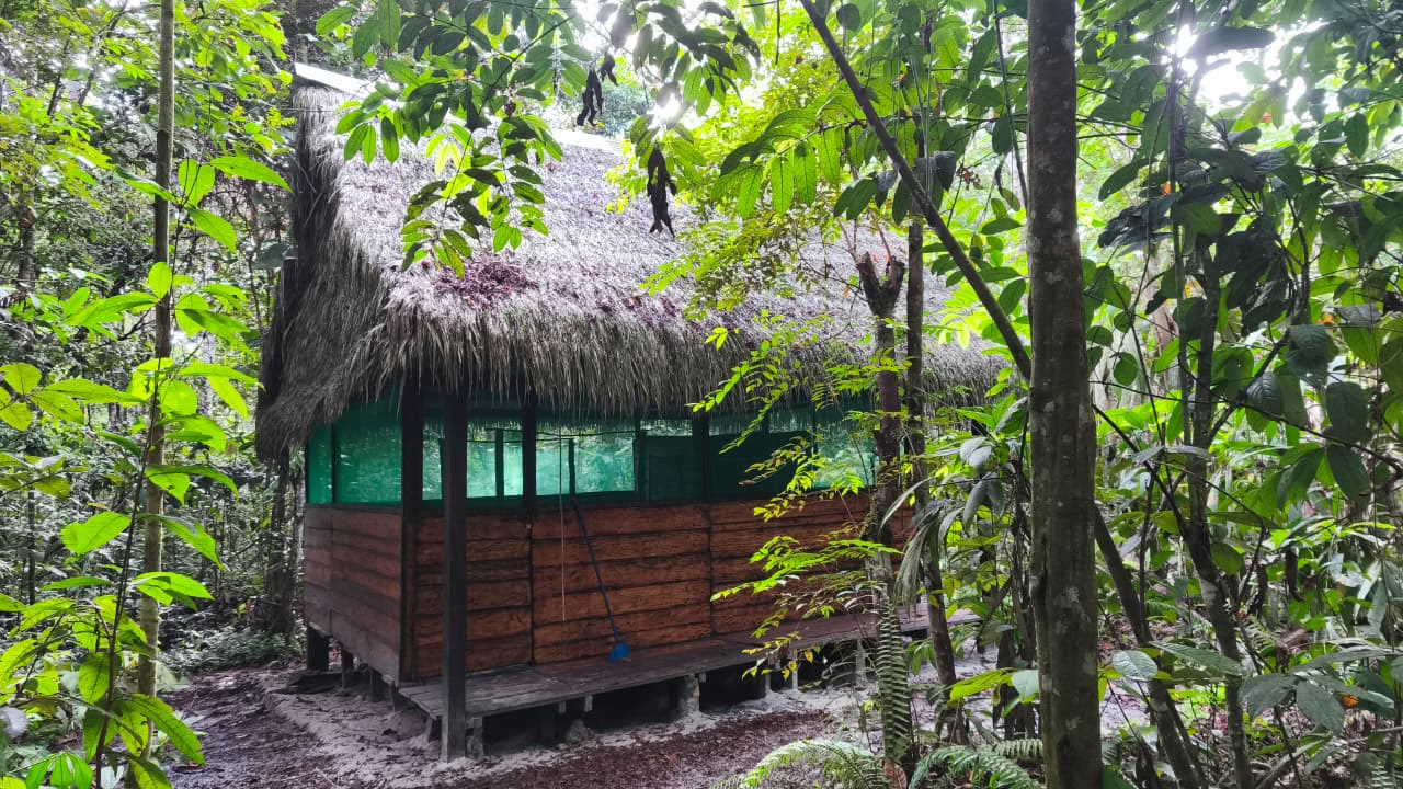 Naturalia retraitescentrum | Ayahuasca-retreat in Peru