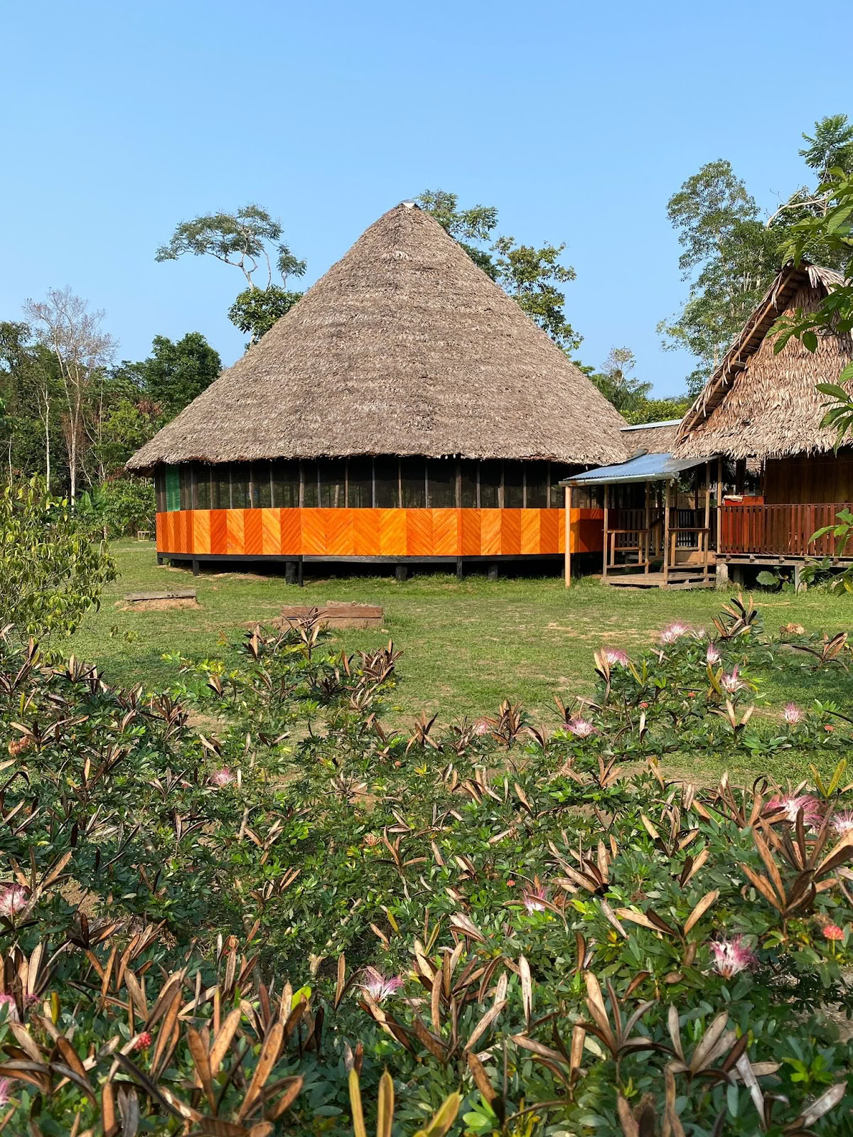 AYA Healing Retreats