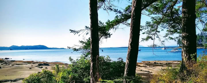 De Haven