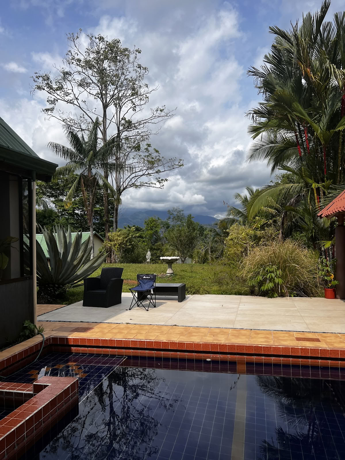 Finca Divina Vida