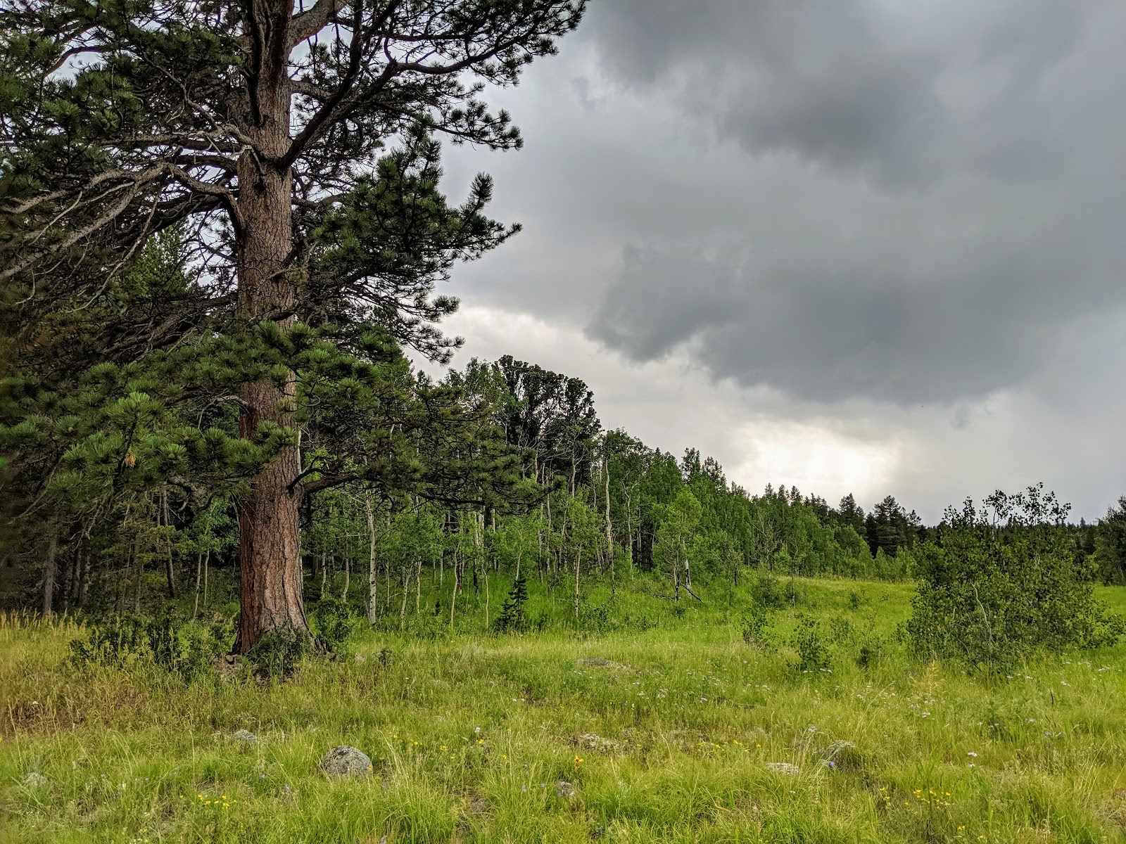 Ecodharma-retraitecentrum in de Rocky Mountains