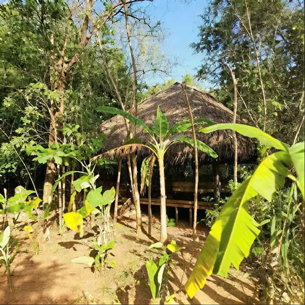 Kuwera Eco Lodge