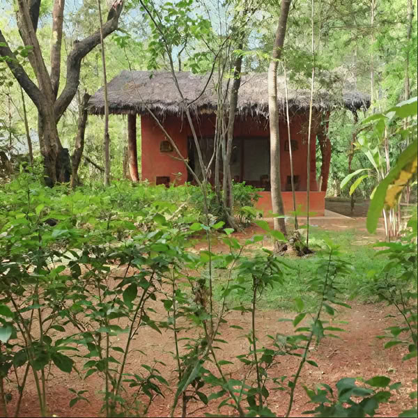Kuwera Eco Lodge