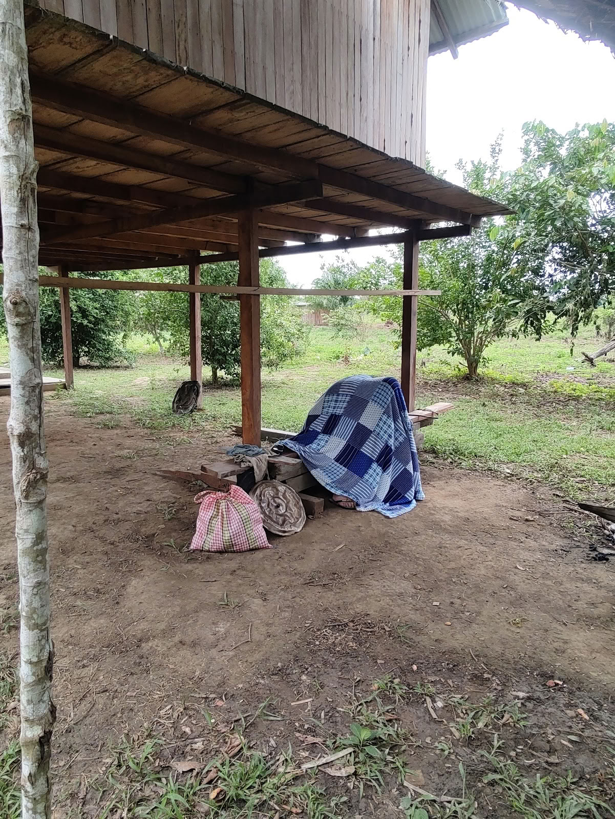 Shipibo Ayahuasca- en sjamanismebasis