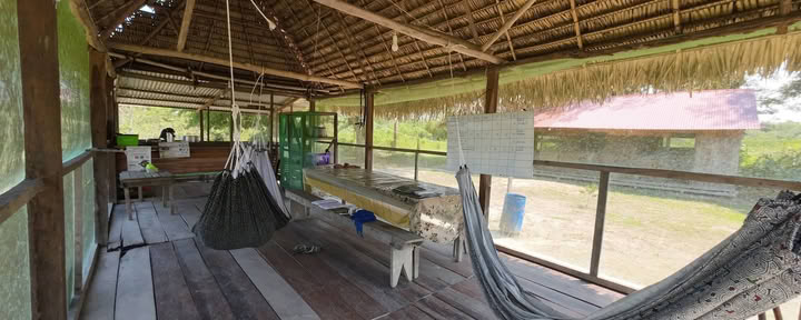 Shipibo Ayahuasca- en sjamanismebasis
