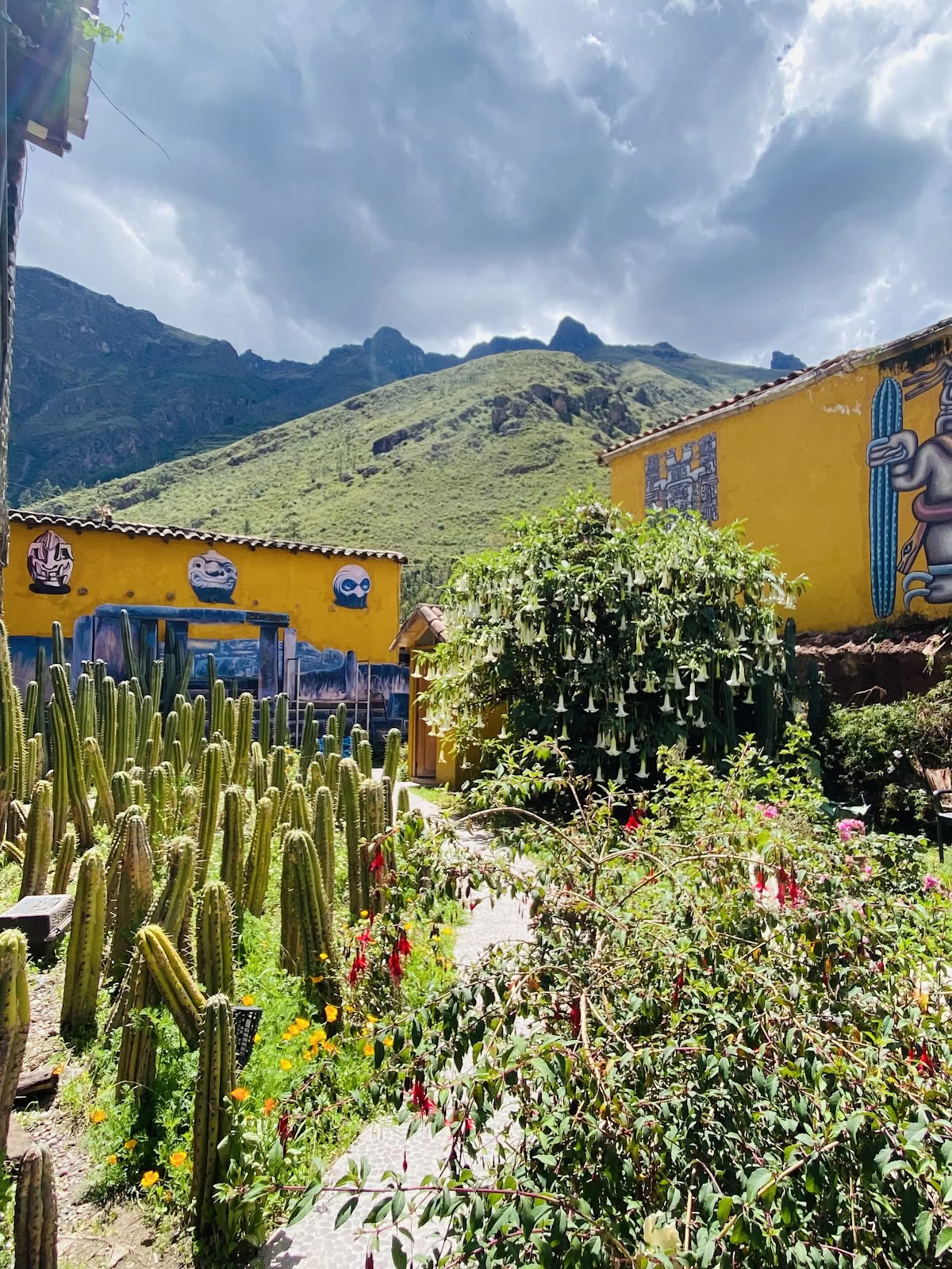 Huachuma Wasi