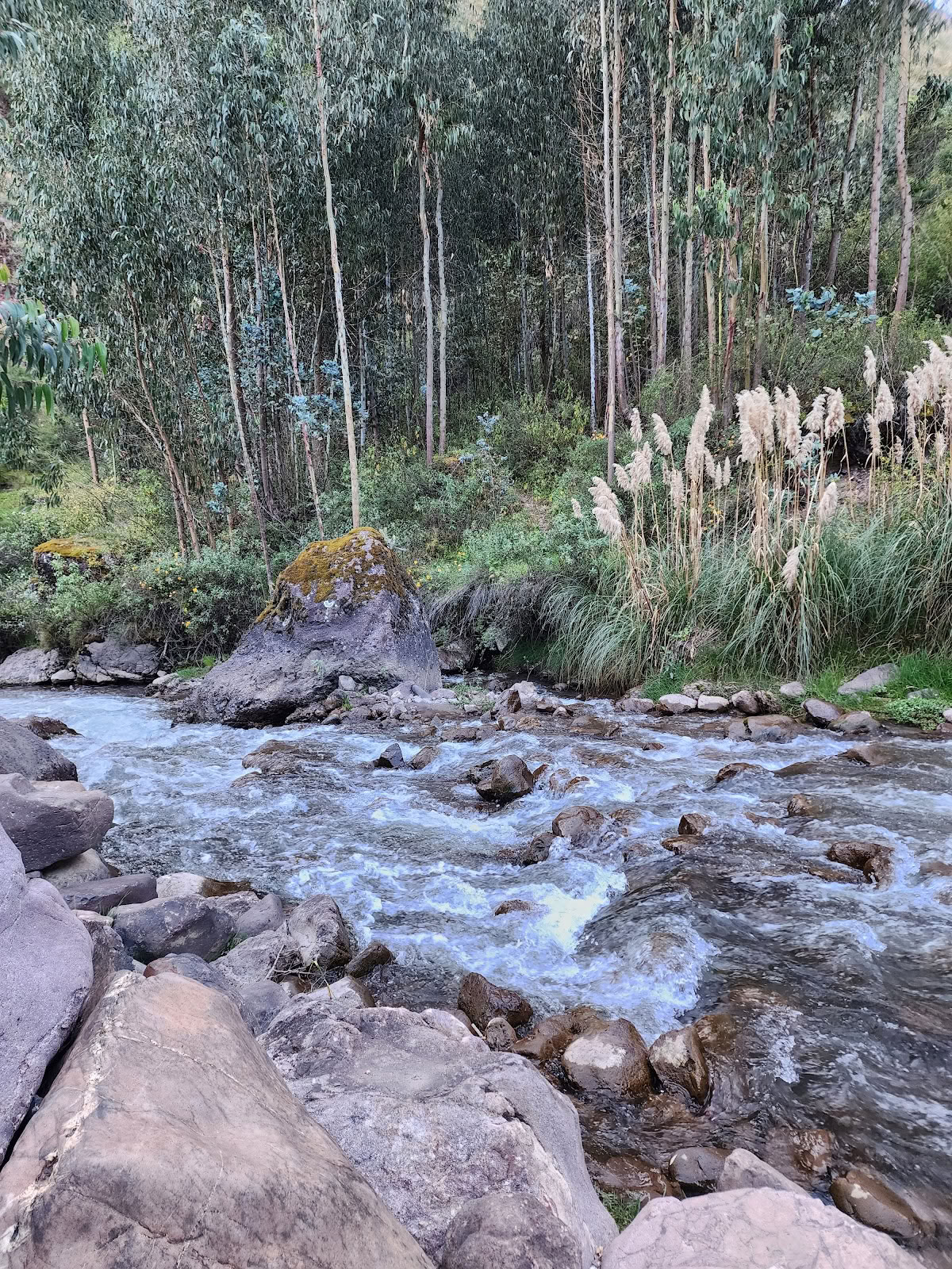 Huachuma Wasi