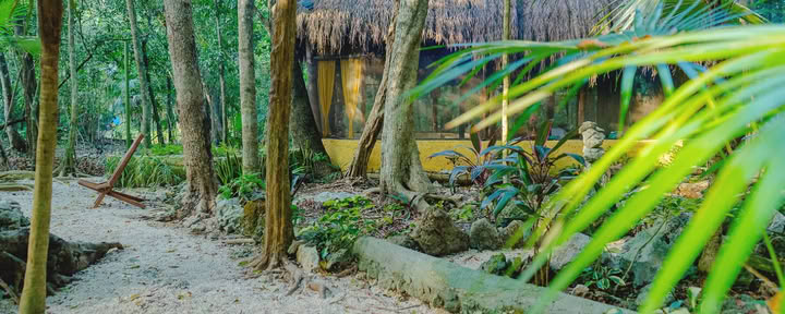 Eén Adem van Yoga Ashram