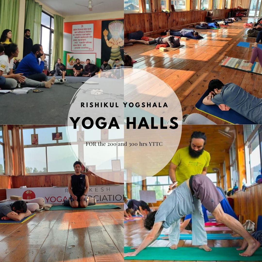 Rishikul Yogshala Rishikesh - Yogadocentenopleiding in Rishikesh, India