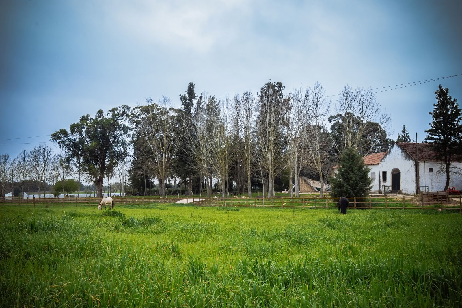Quinta Carvalhas - AFV Retreats