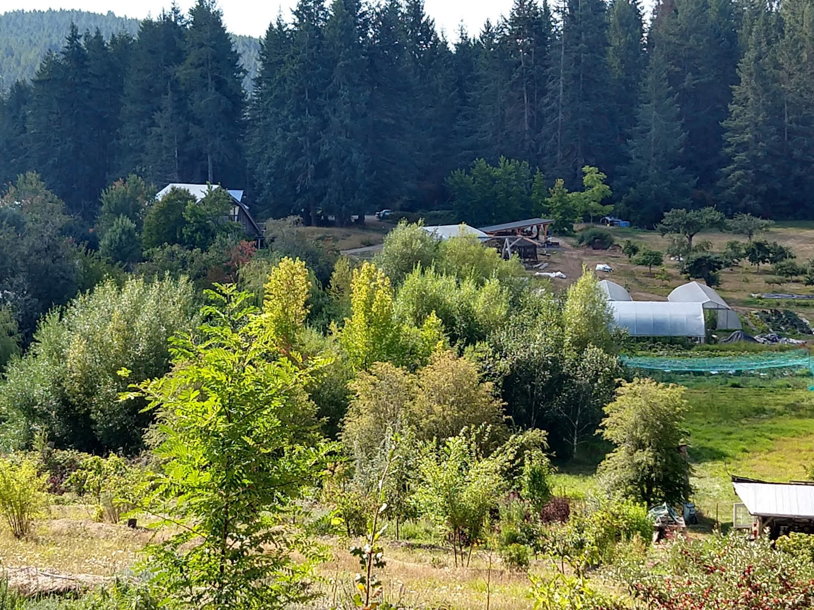 Stowel Lake Farm