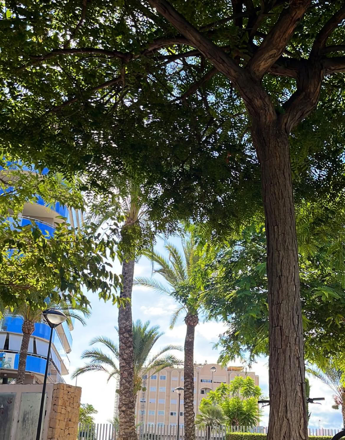 Revive Retreats & Fitness door Bomba Fitness Campello