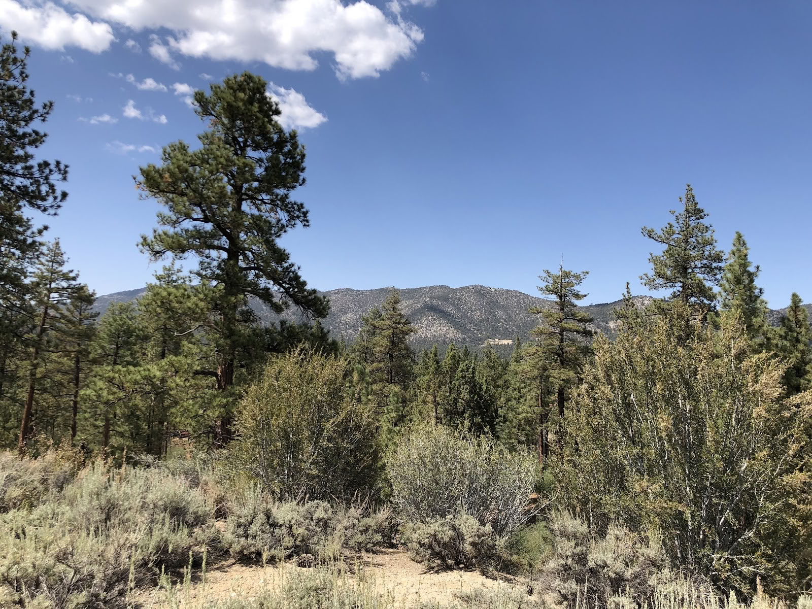 Retreatcentrum Big Bear