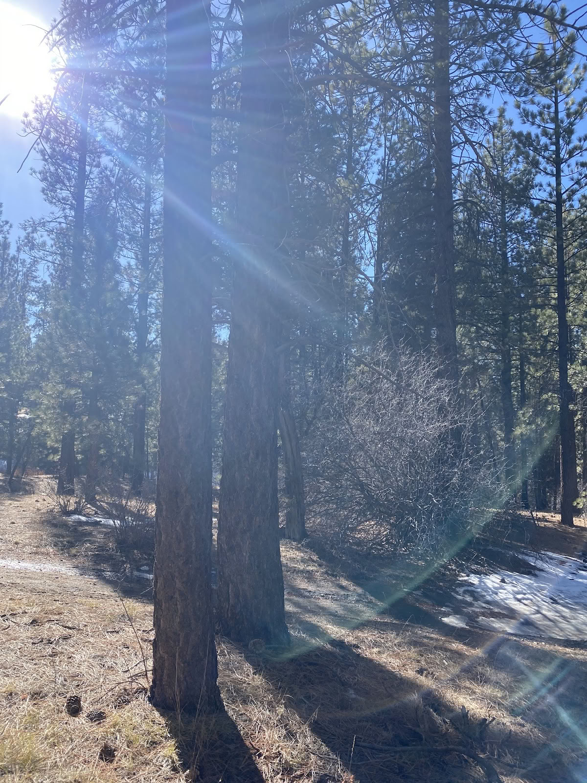 Retreatcentrum Big Bear