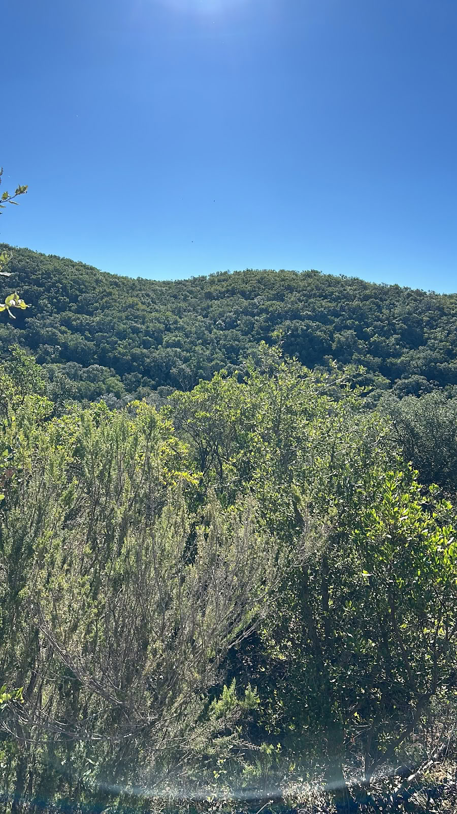 Essencia Natuurretraite