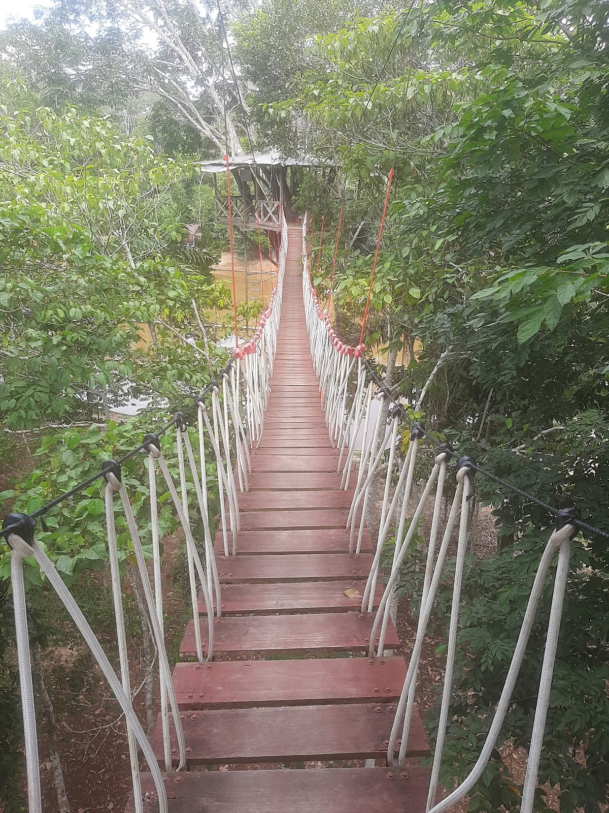 El Purguero Ayahuasca-retreat