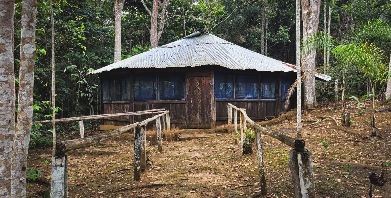 El Purguero Ayahuasca-retreat