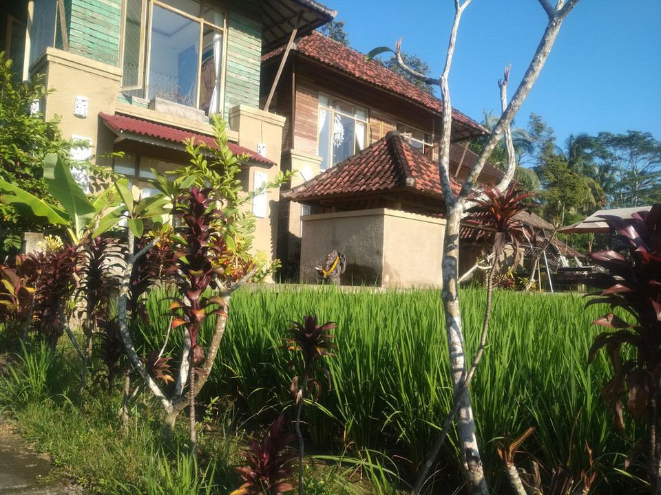 Vuurvliegretreat