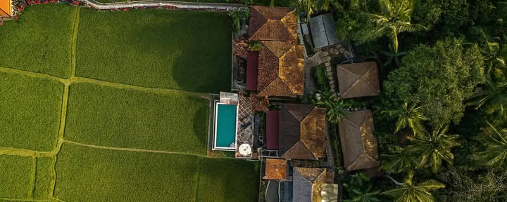Vuurvliegretreat