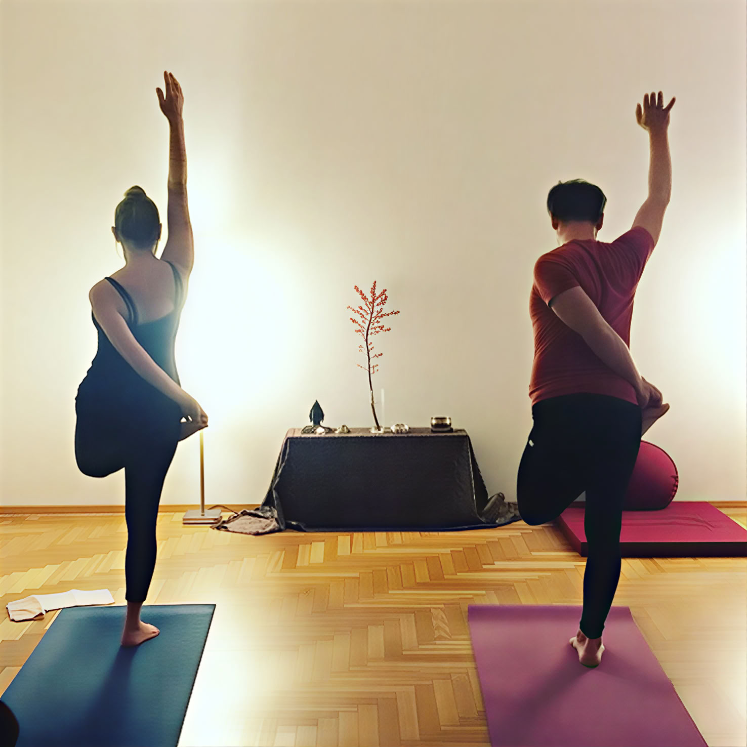 Yoga Studio Surya | Ashtanga Vilnius