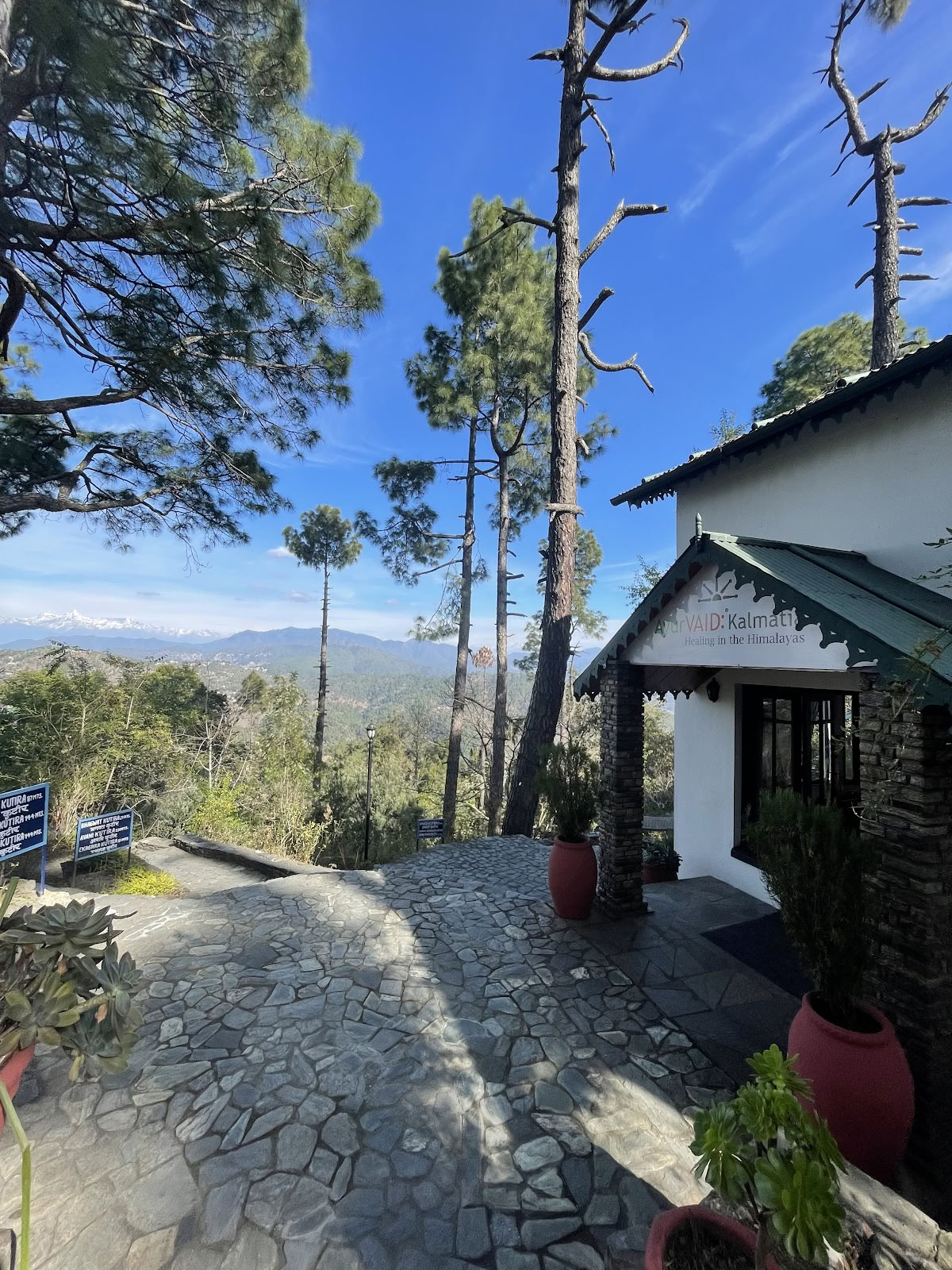 AyurVAID Kalmatia - Centrum van genezing in Almora, Uttarakhand