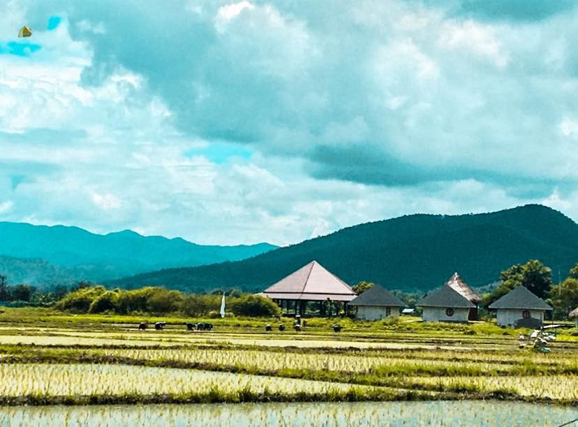 Mala Dhara