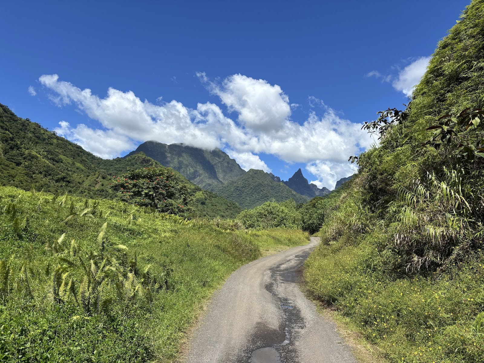 Te Mana Tahiti Tours