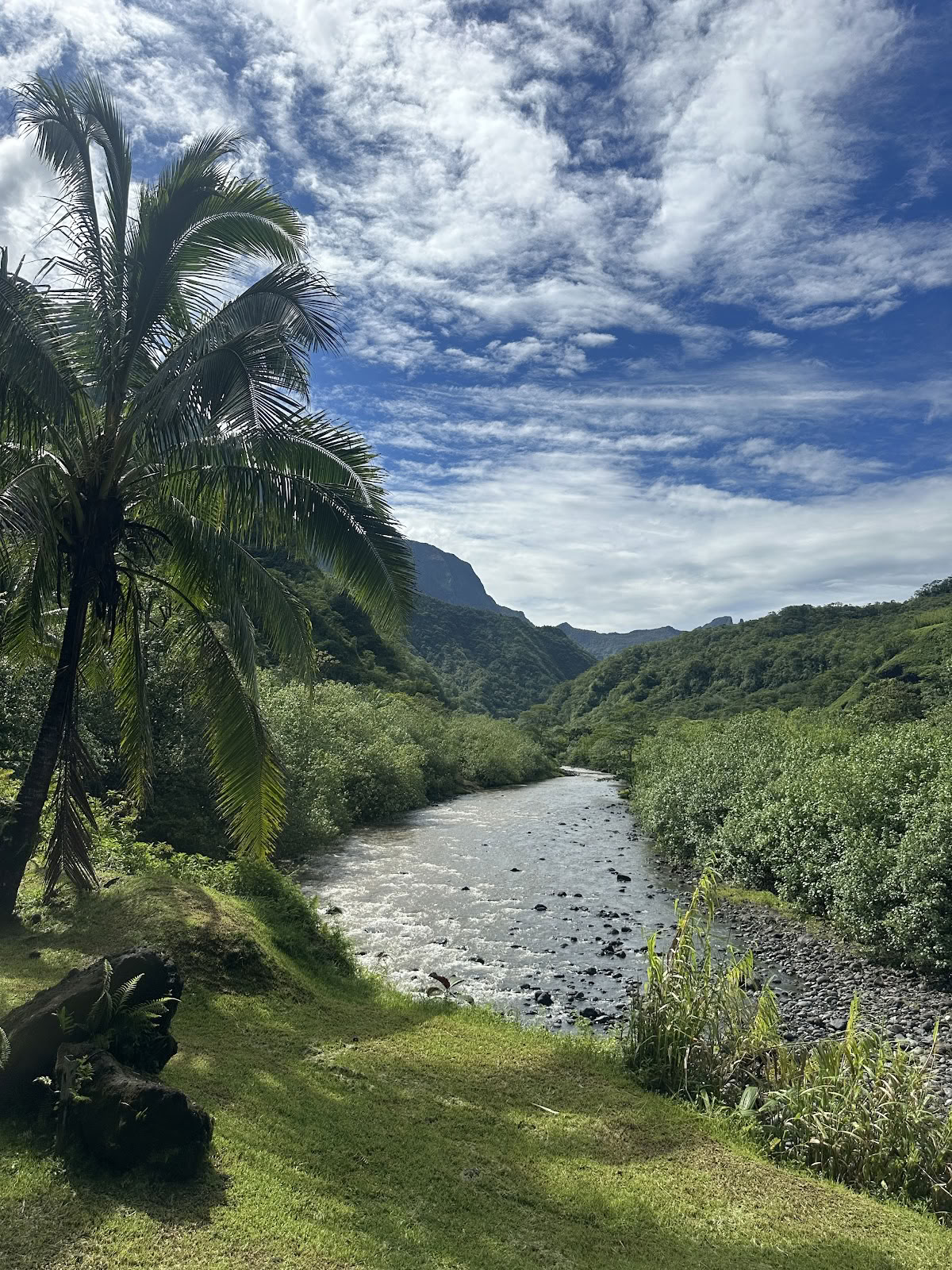Te Mana Tahiti Tours