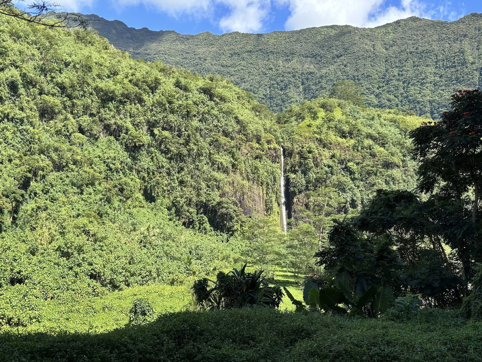 Te Mana Tahiti Tours