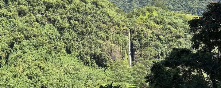 Te Mana Tahiti Tours