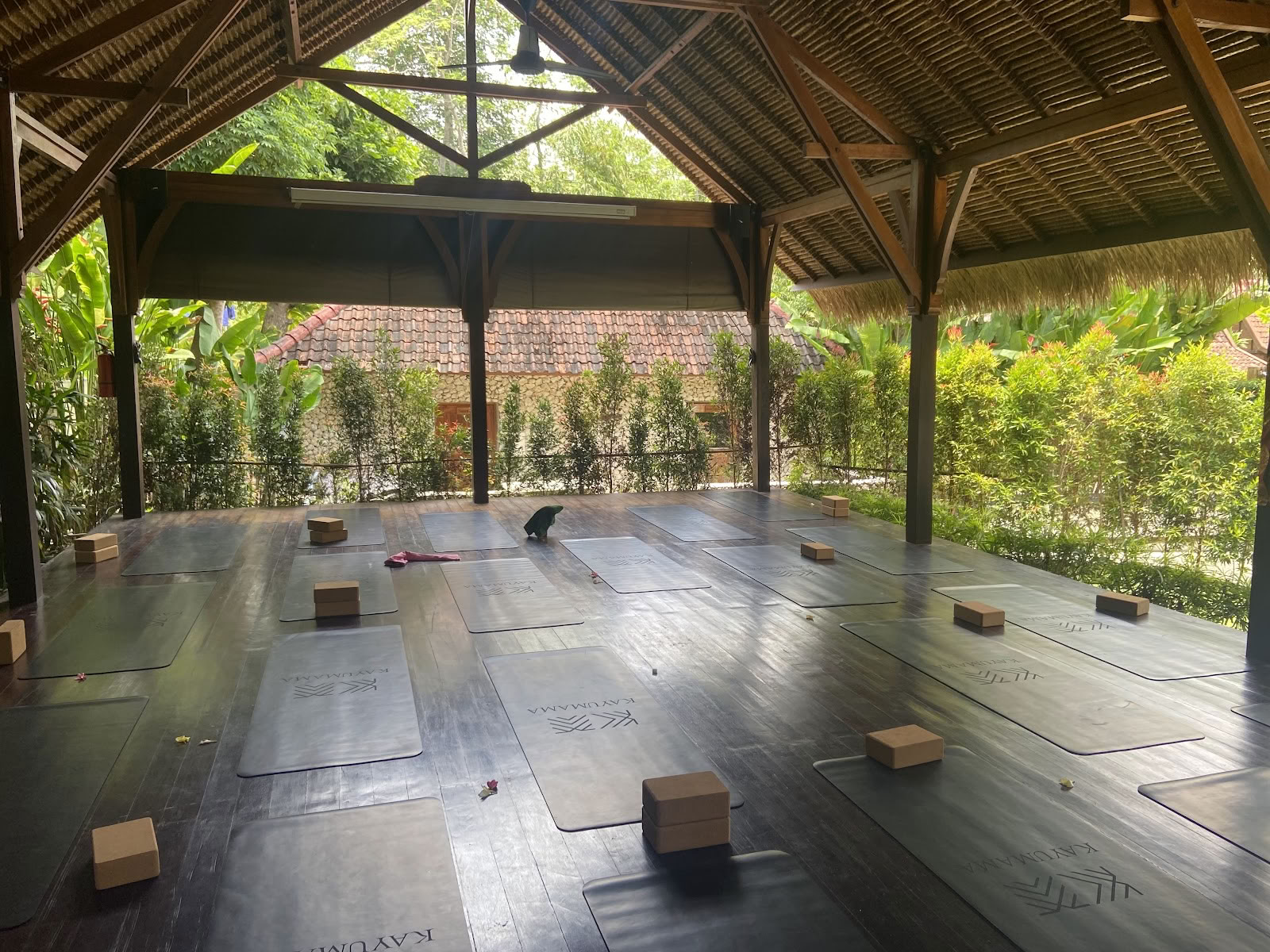 SoHA School voor Healing Arts - Yoga-lerarenopleidingen