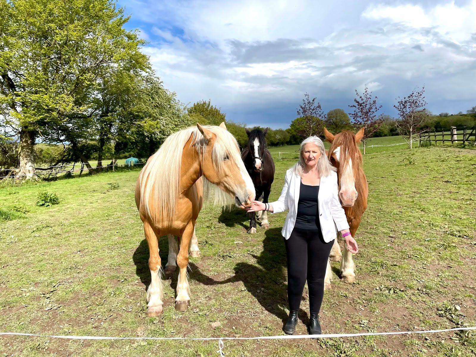 Epona Retraitecentrum