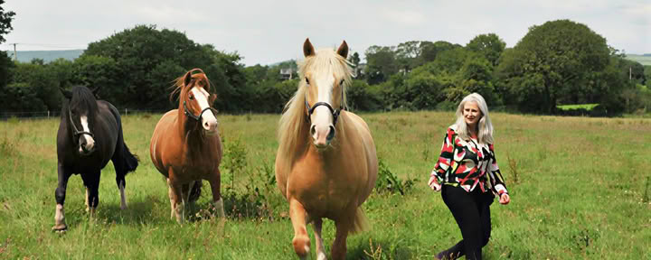 Epona Retraitecentrum
