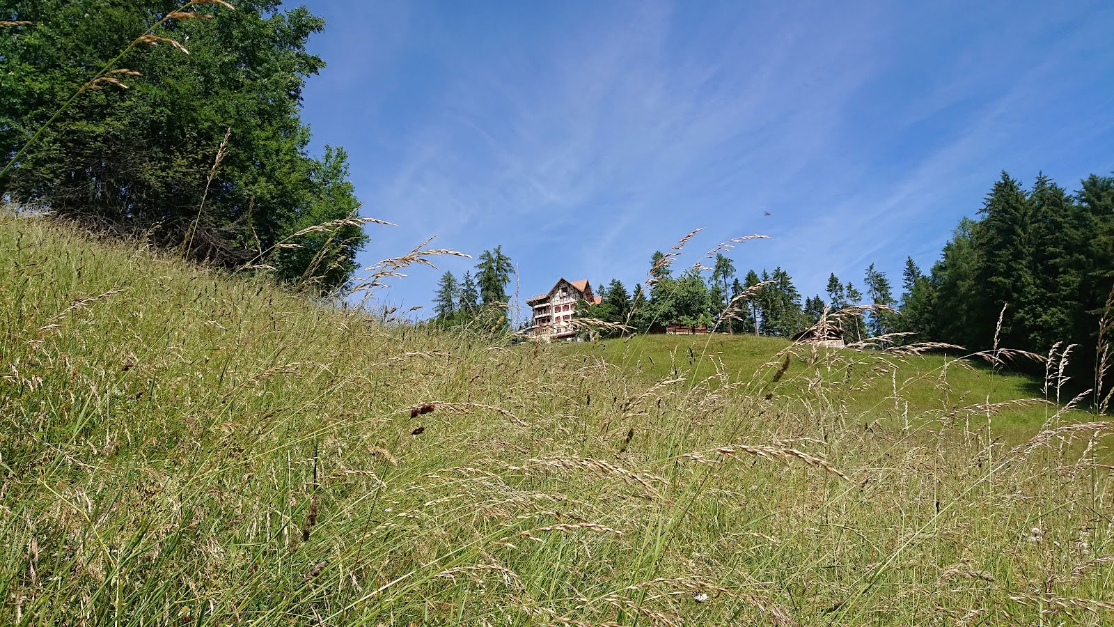 Ganden Chökhor