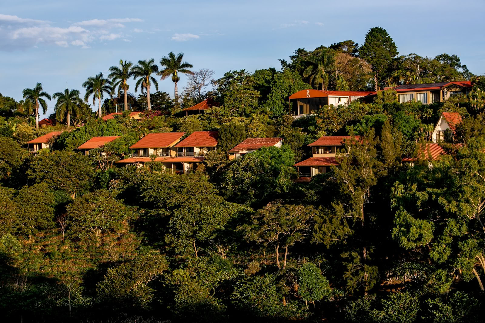 Pura Vida-retreat en spa