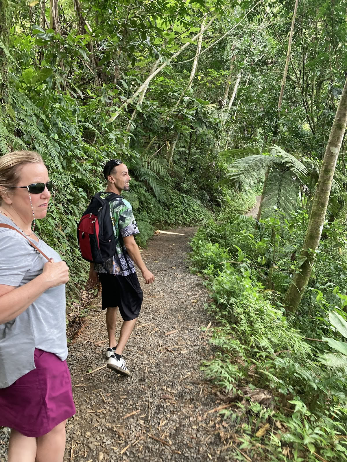 El Yunque Tours Inc.