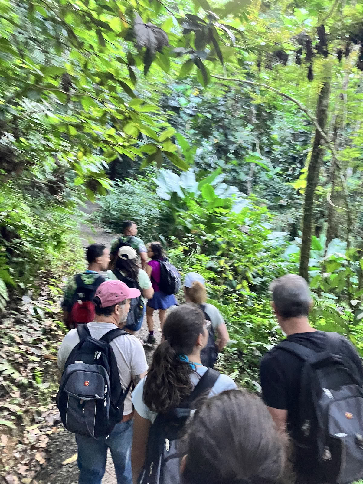 El Yunque Tours Inc.