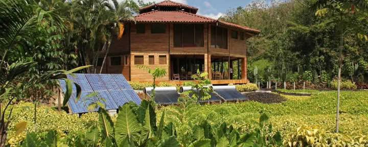 Macaw Lodge