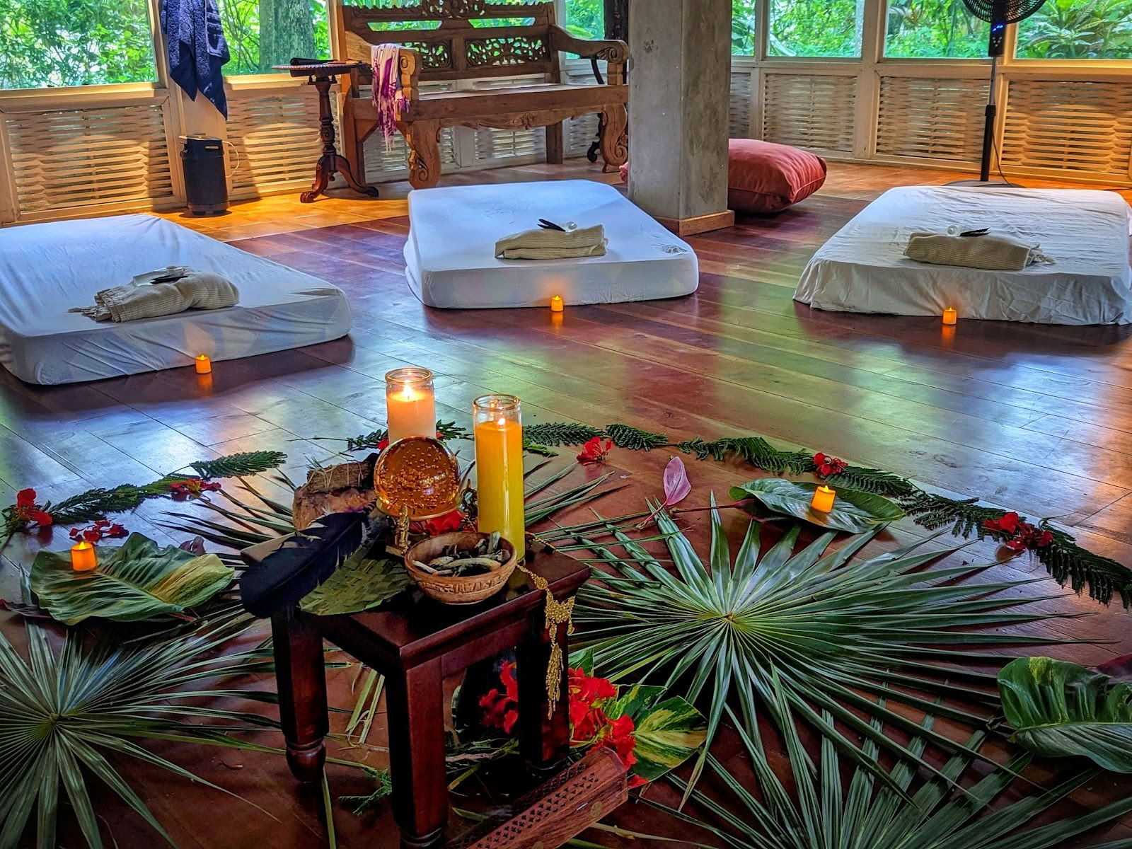 ONE Retreats | Psilocybine Paddenstoelen Retreats