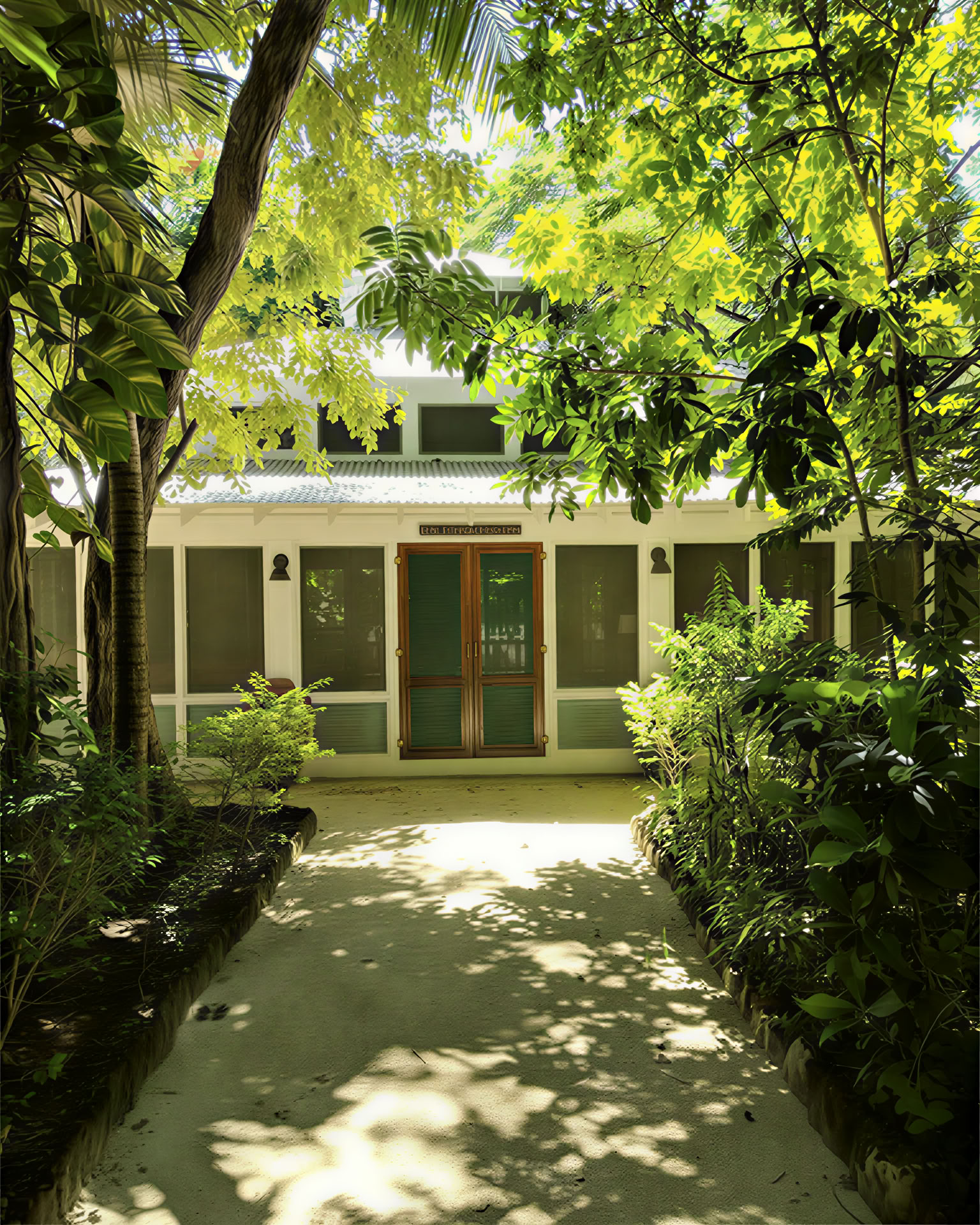 ONE Retreats | Psilocybine Paddenstoelen Retreats